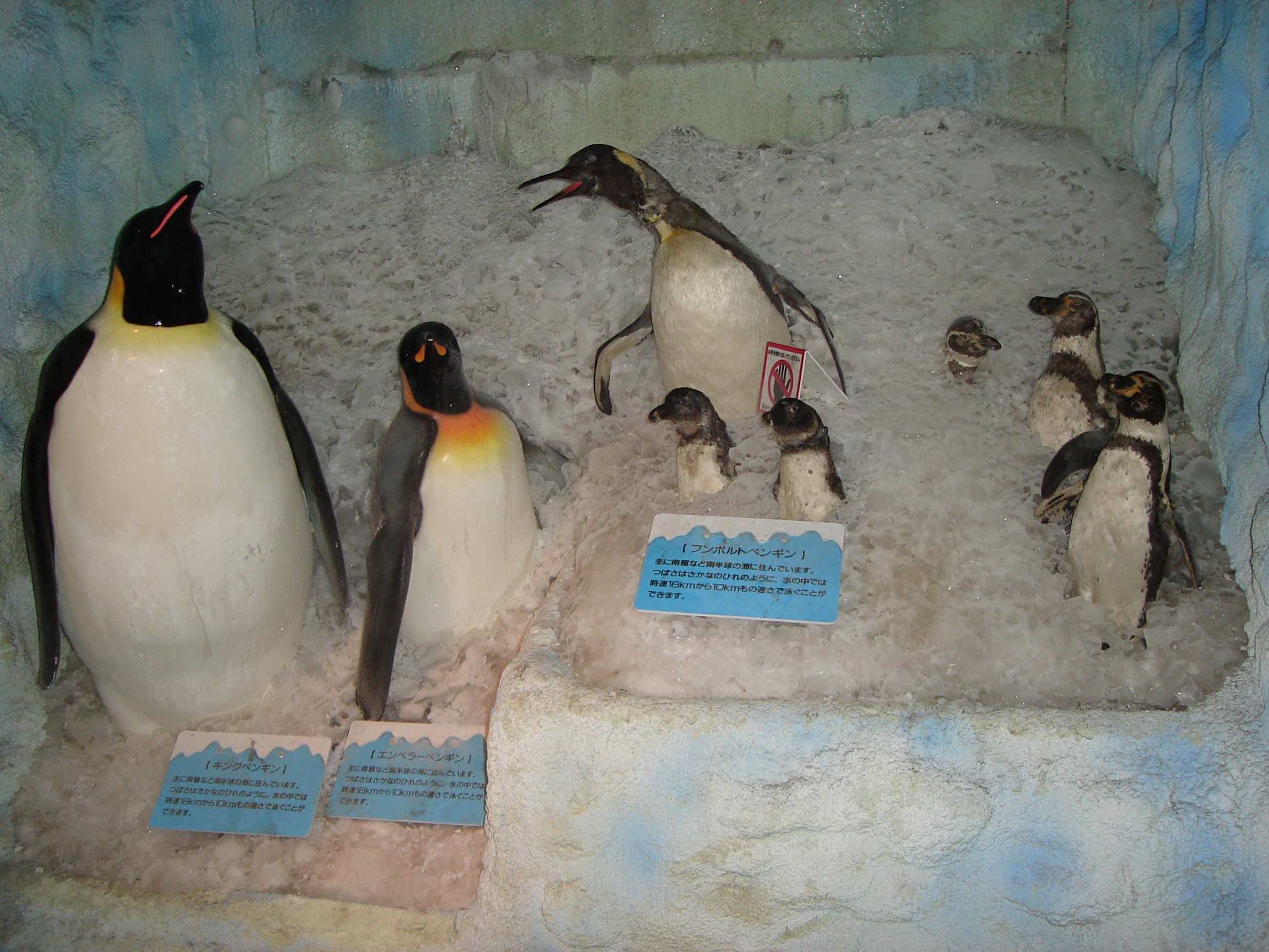 model penguins in a display of artificial ice and snow
