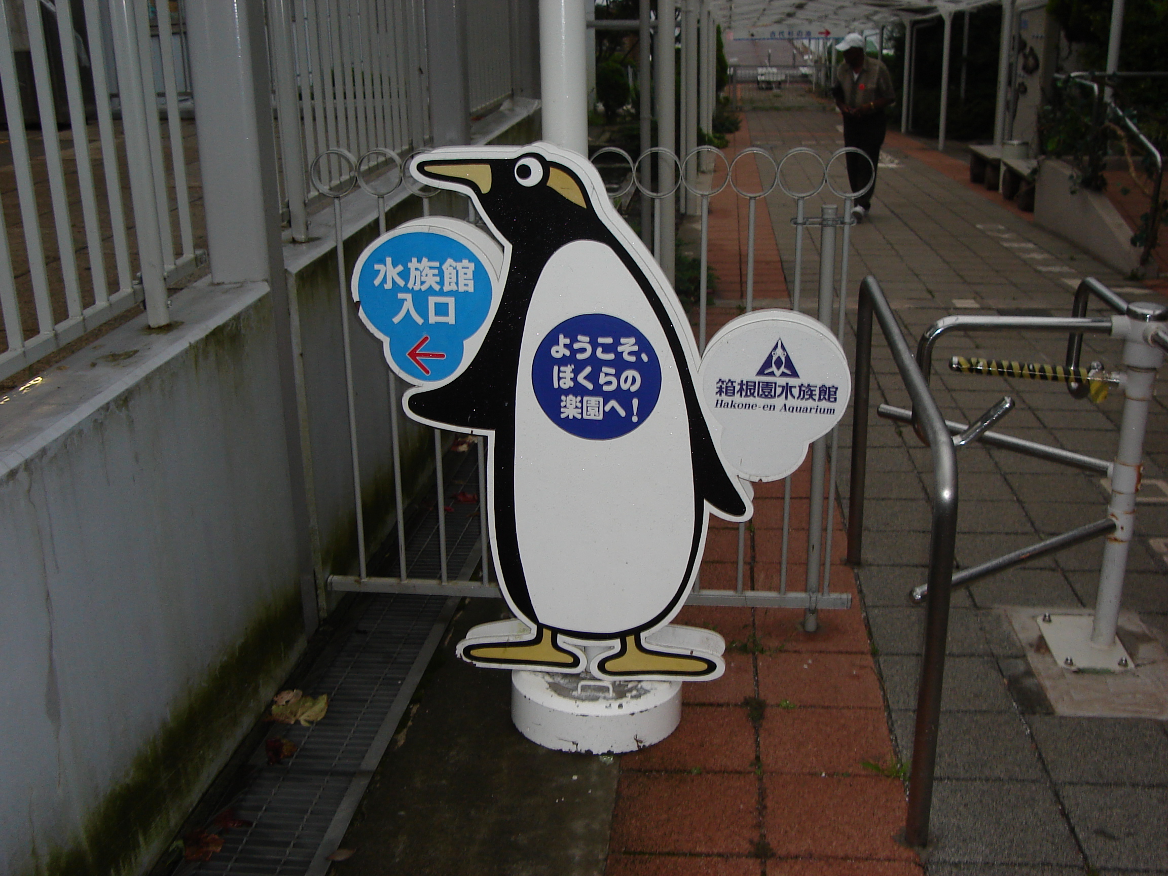 a cartoon penguin sign points the way