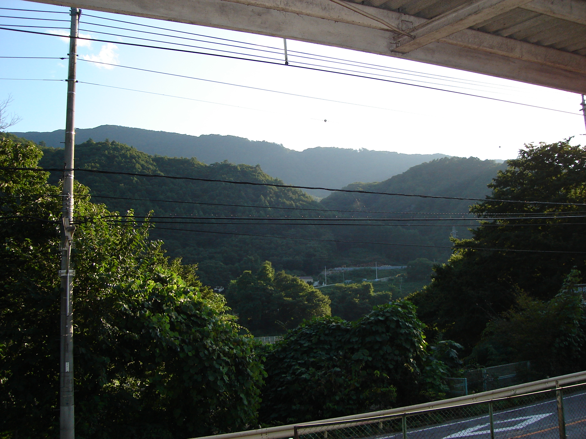a view from the train platform of trees with mountains far in the distance
