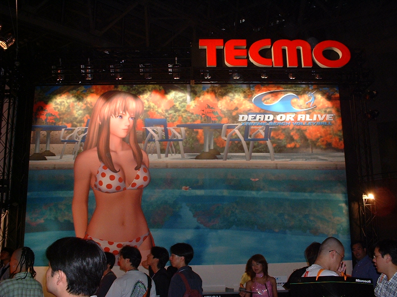 a very large sign of a white woman in a bikini under the tecmo logo