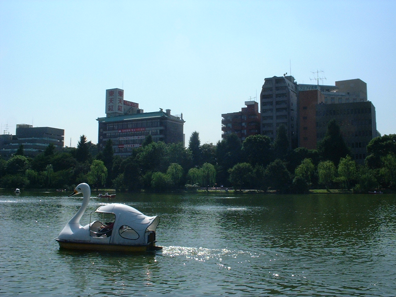 a swan paddleboat in the pond with trees and buildings in the background