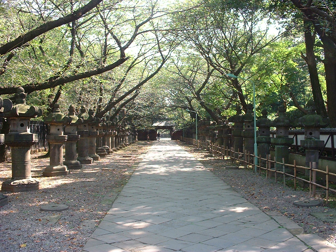 trees provide a canopy above a path lined with stone lanterns