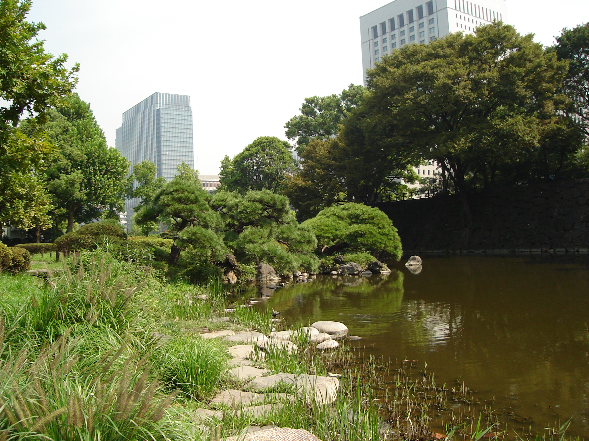 water and shrubs with trees and office towers in the background