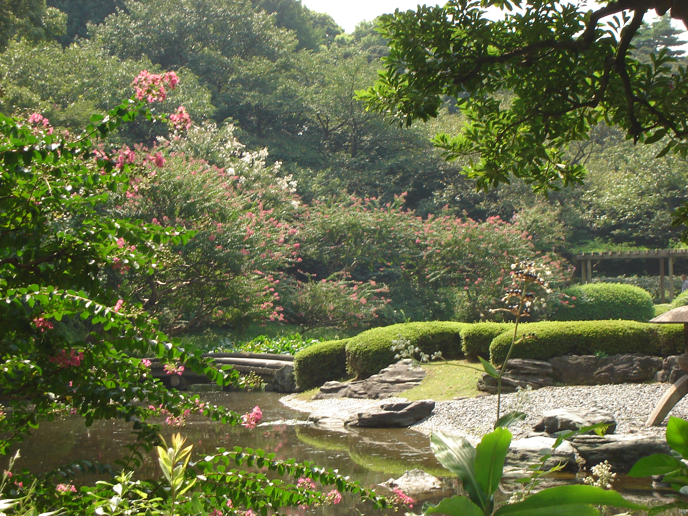 a variety of flowering shrubs, hedges, and trees surround a water feature