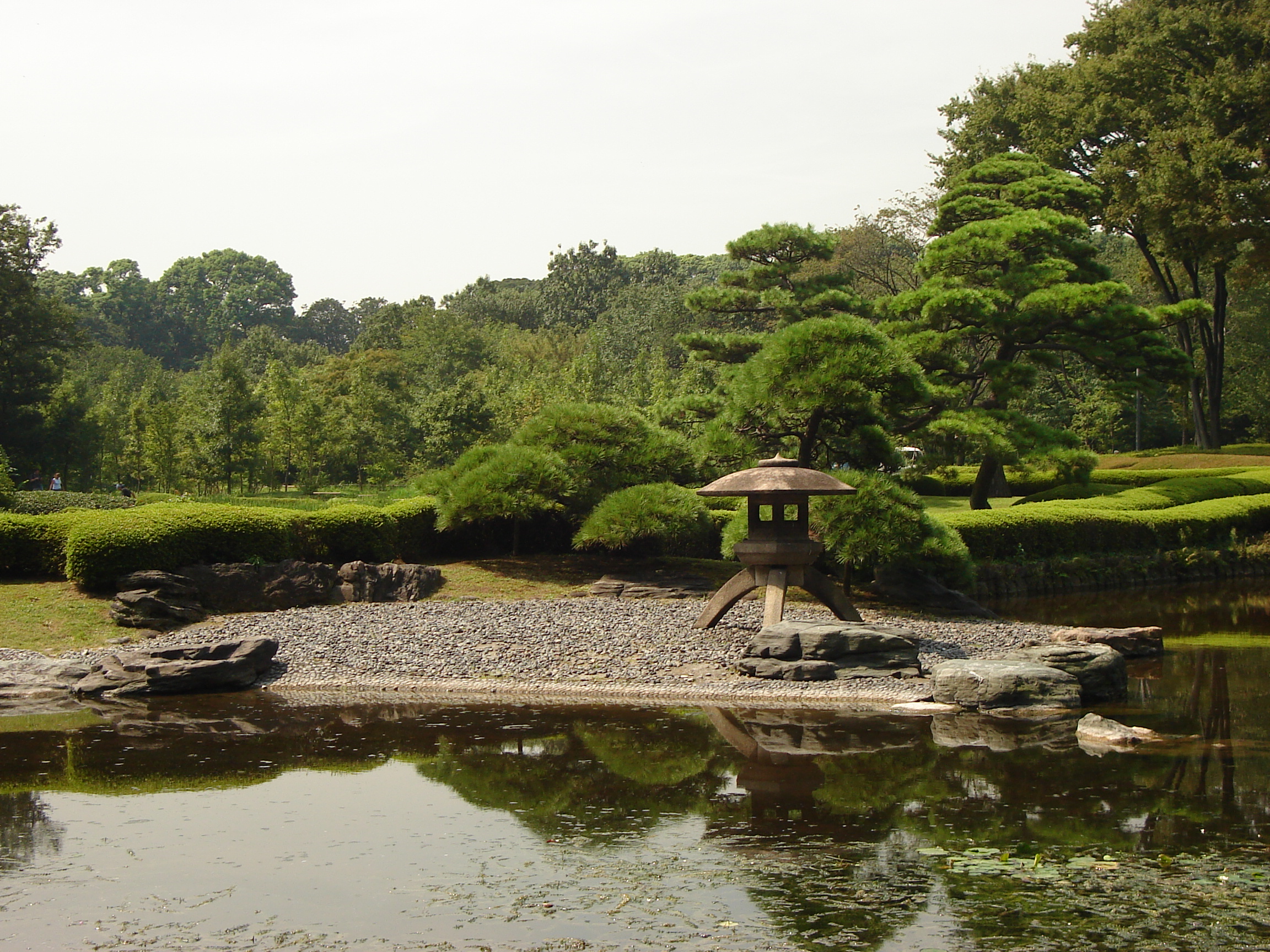 a small pond with a traditional lantern on a stone area and many trees in the background