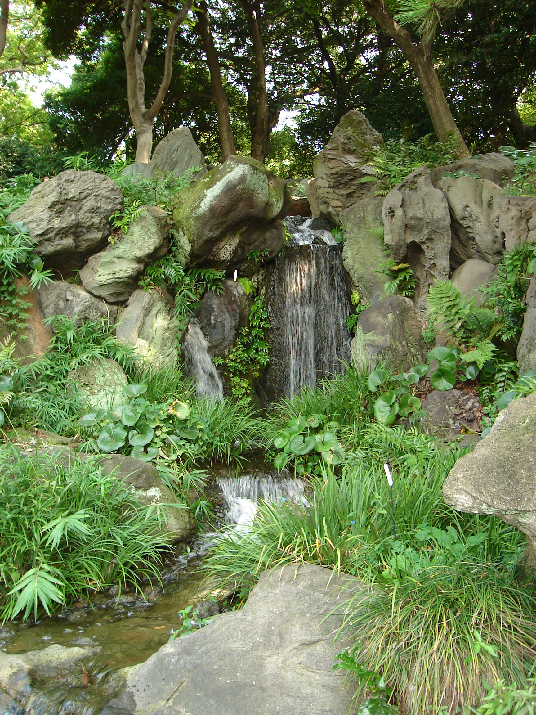 a small waterfall surrounded by low plants