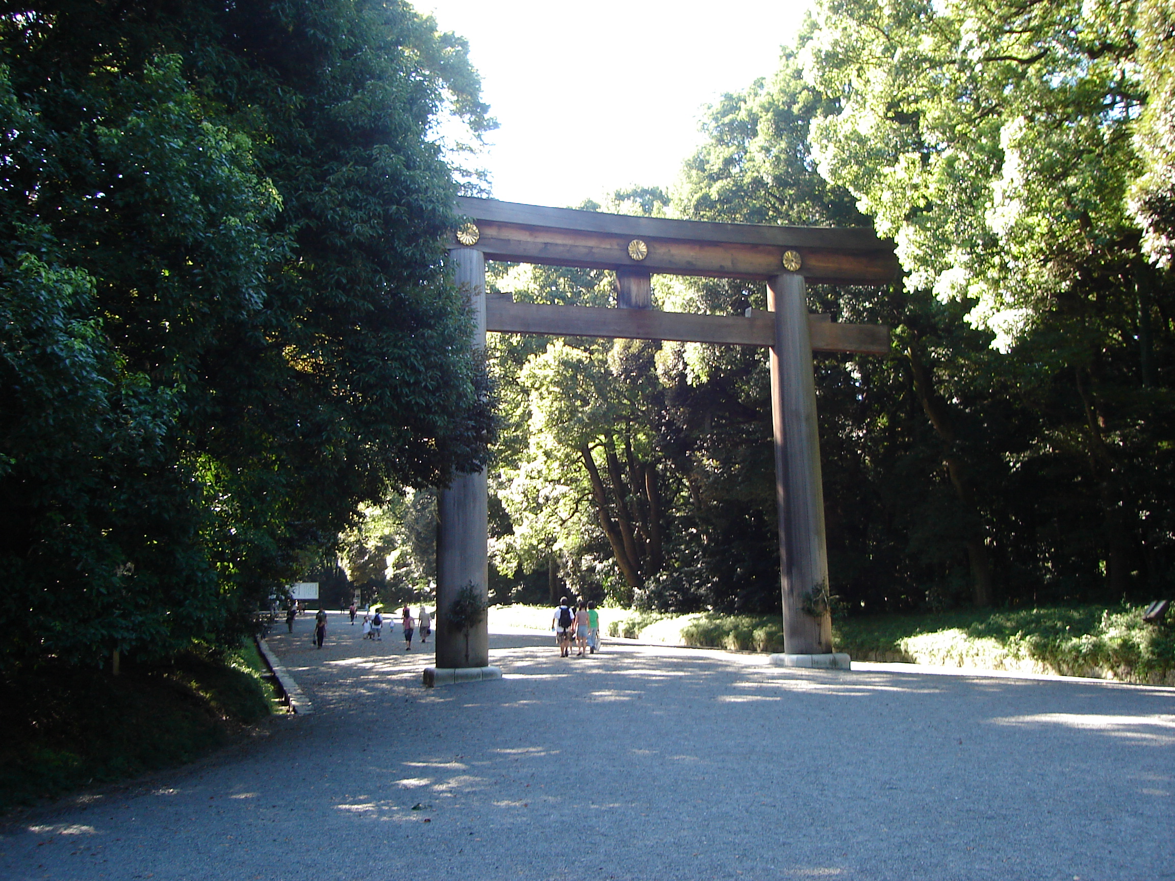 a large unpainted torri gate framed by trees