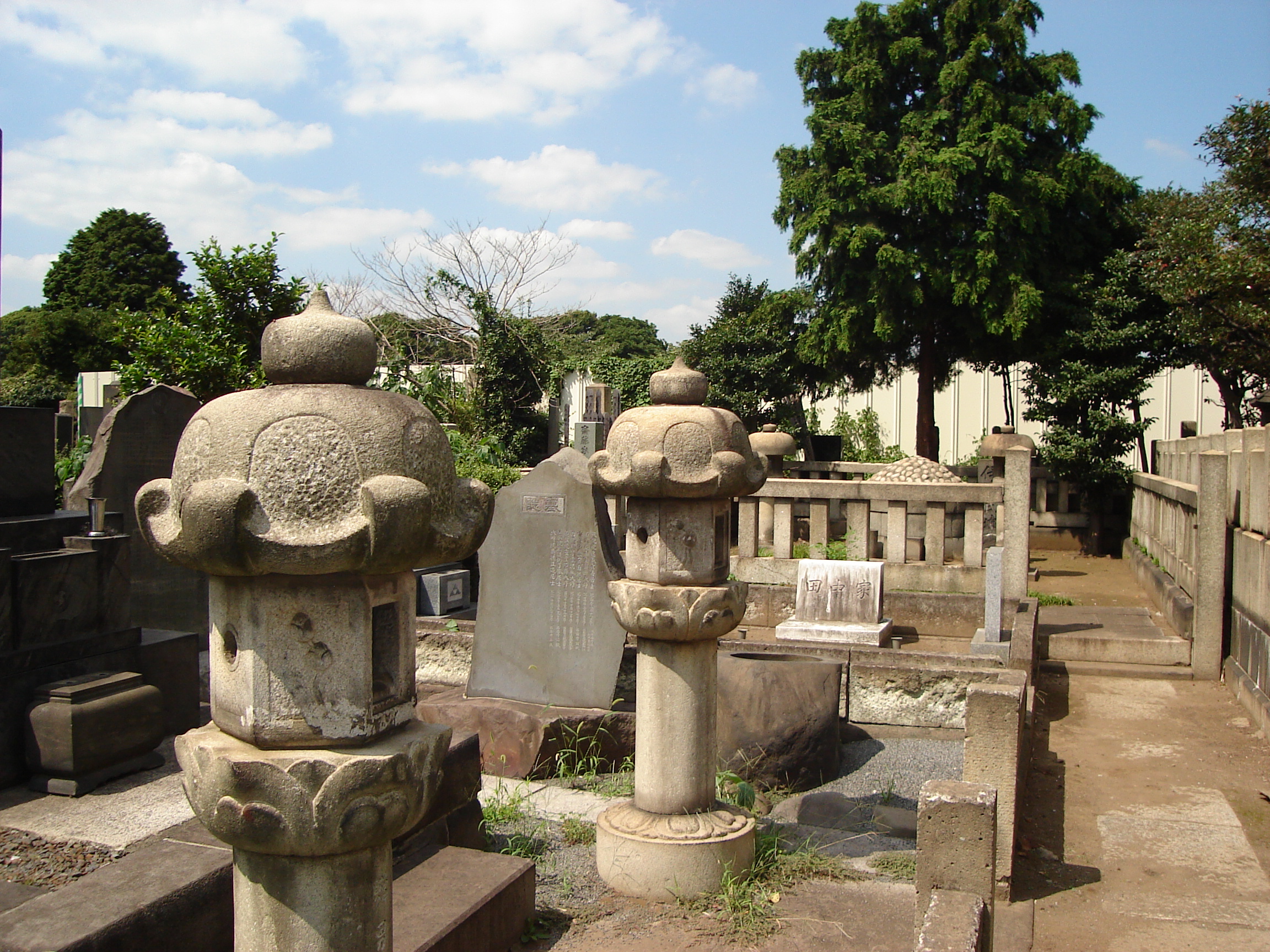 gravestones of various shapes and sizes