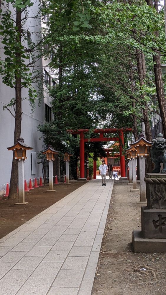 A laneway lined with traditional lanterns and trees, leading through several torii gates to a shrine