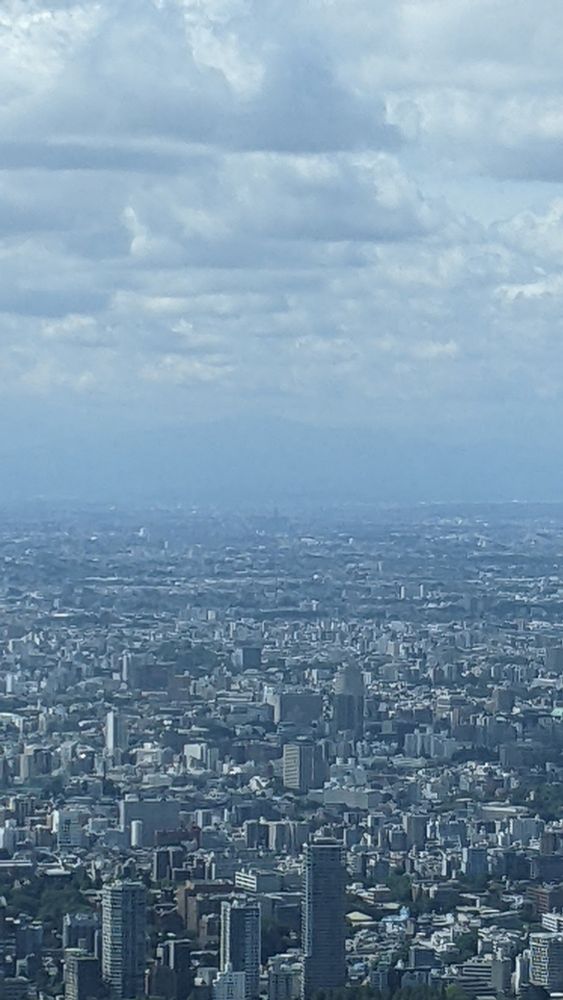 A view toward Mt. Fuji, but it isn't visible