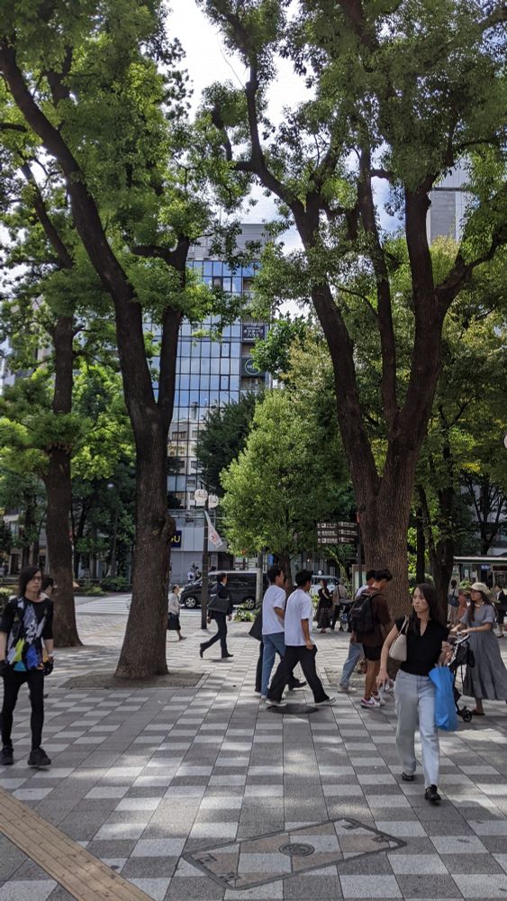 people walk amongst tall trees with office buildings in the background